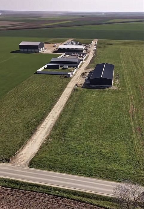 Teren intravilan de inchiriat – 3.002 MP | LIVADA DE BIHOR