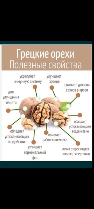 Грецкие орехи Казахстана