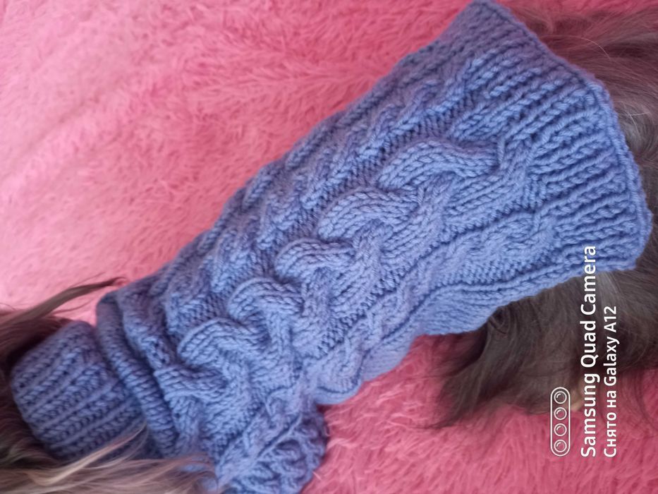 Одежда для собак