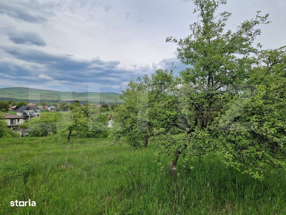 Teren extravilan de vanzare – 1000 mp, livada, ideal pentru casa !
