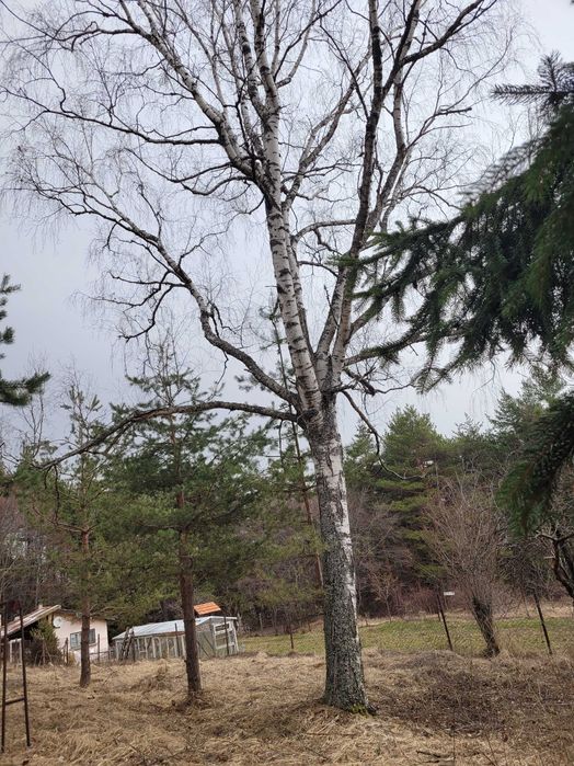 Парцел с къща - с.Железница