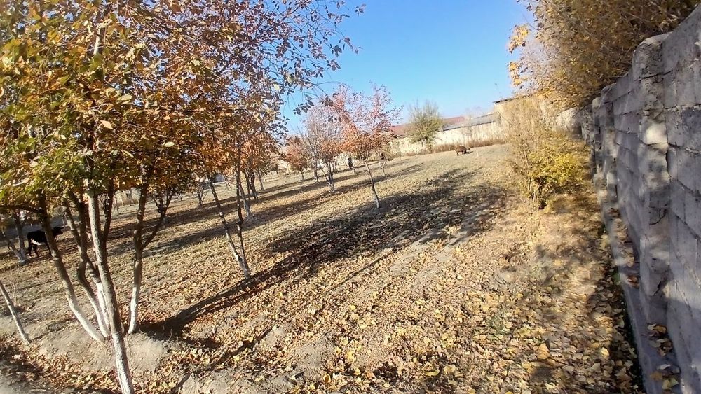 Tuman markazidan qulay joylashuvga ega yer uchastkasi sotiladi.