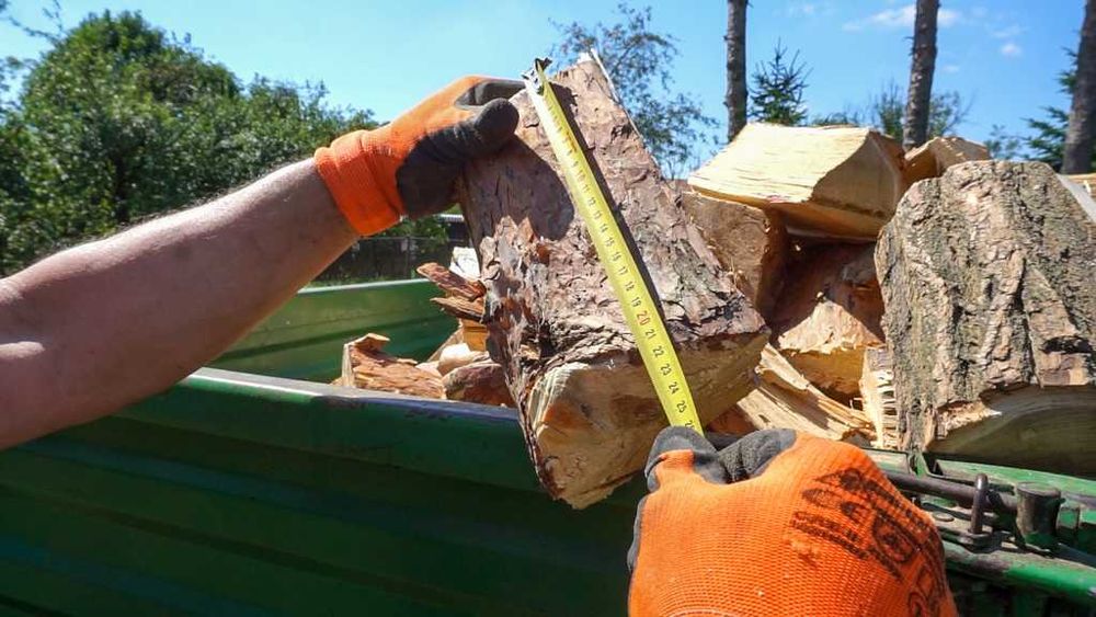 Tocator crengi RP200 cu banda si volanta