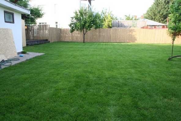 Sisteme de Irigații Inteligente și Montaj Gazon Rulou cu Garanție Extinsă