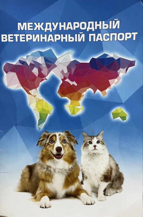 Бельгийская овчарка Малинуа