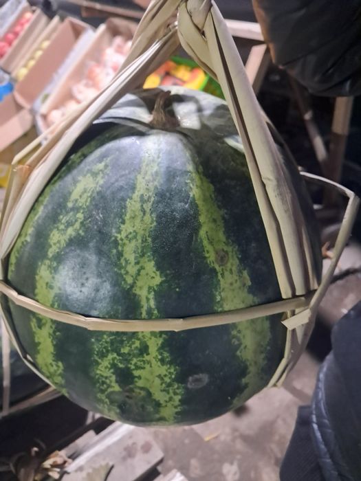 Tarvuz qovun 15000 som