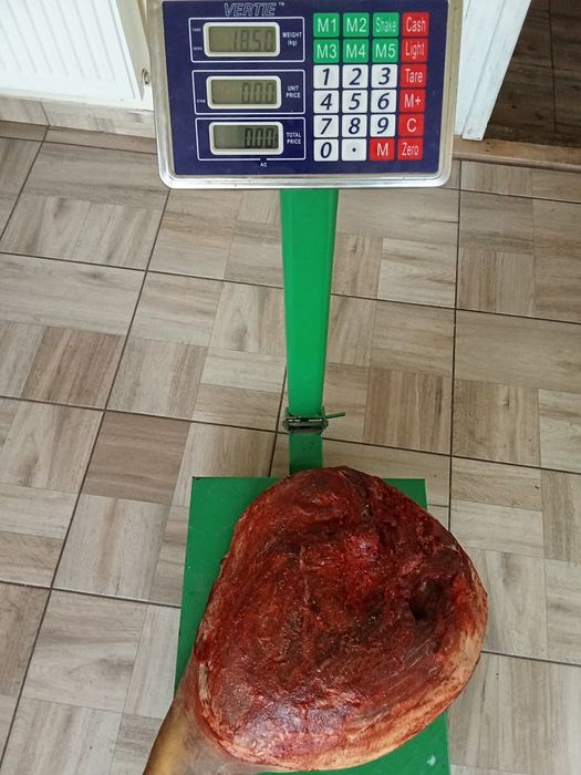 Vând șonc de casă uscat și afumat