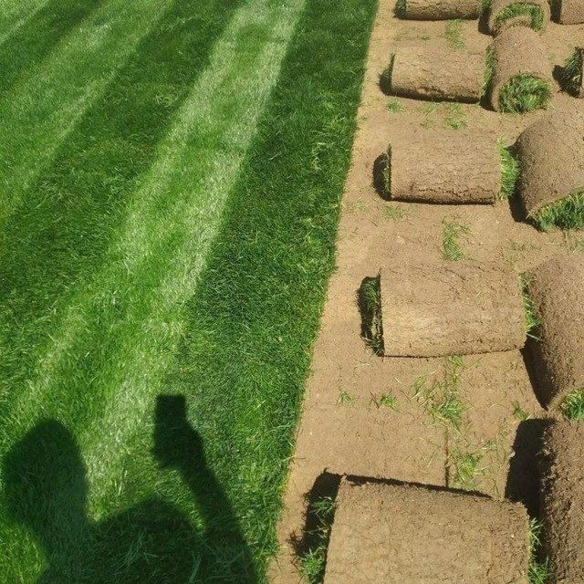 Gazon landshaft dizaynini