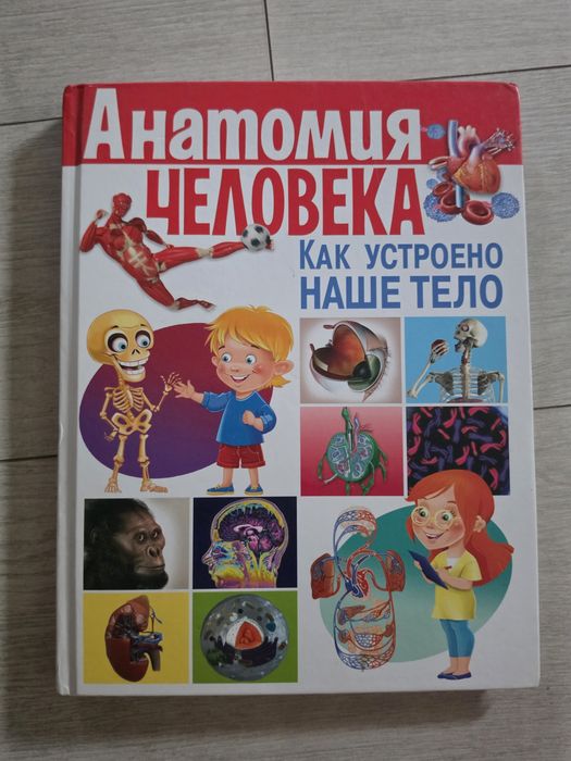 Продам анатомию человека