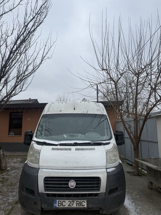 Fiat Ducato Alb