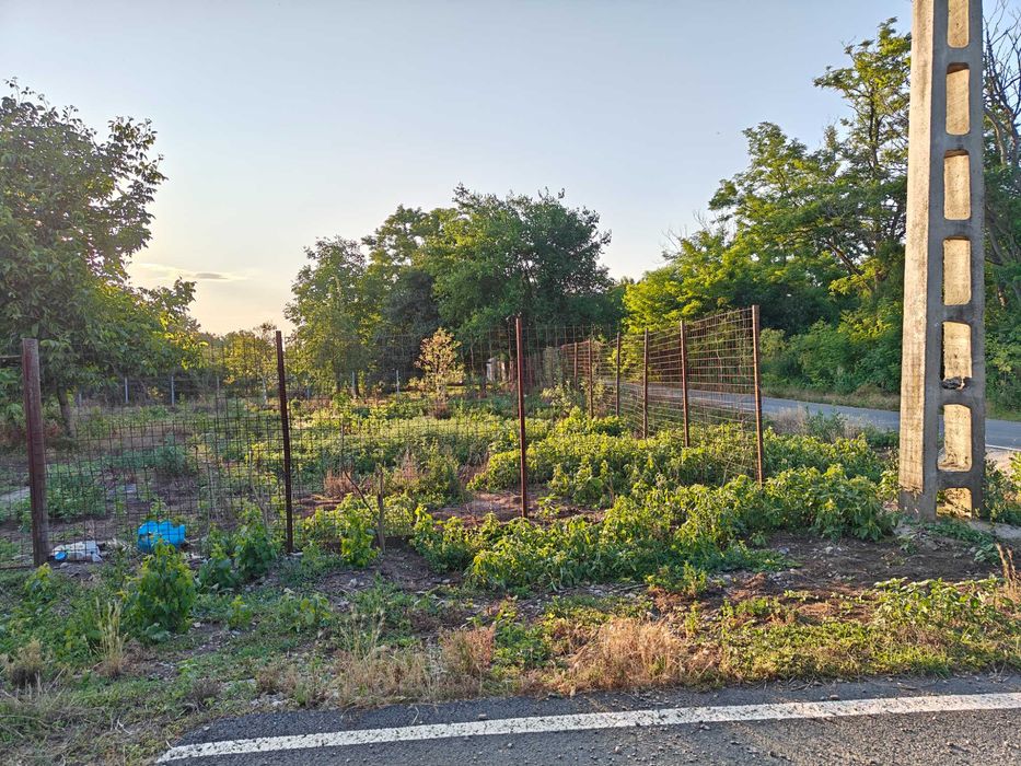 Teren de vanzare LIVEDEA/IALOMITA