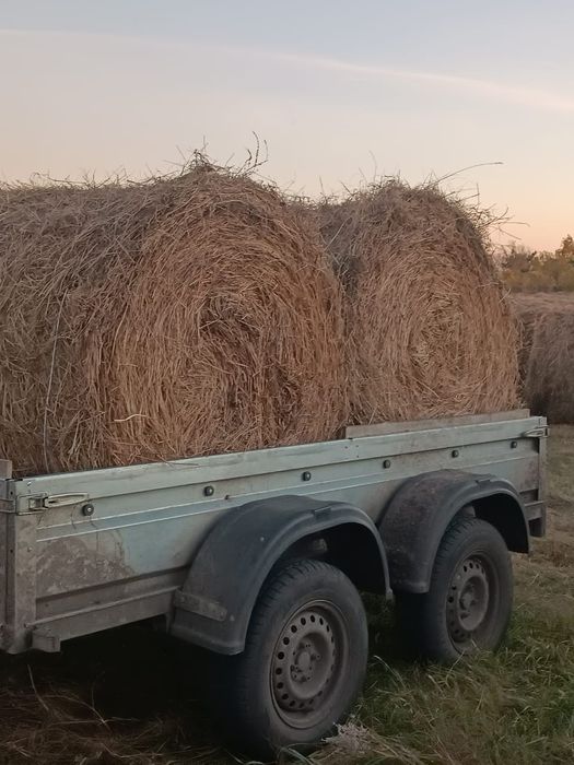 Продам сено, разнотравье.