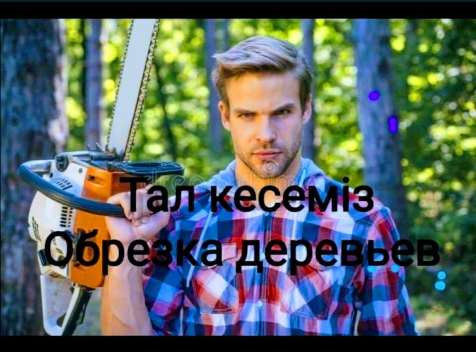 Спил деревьев.  Тал кесу