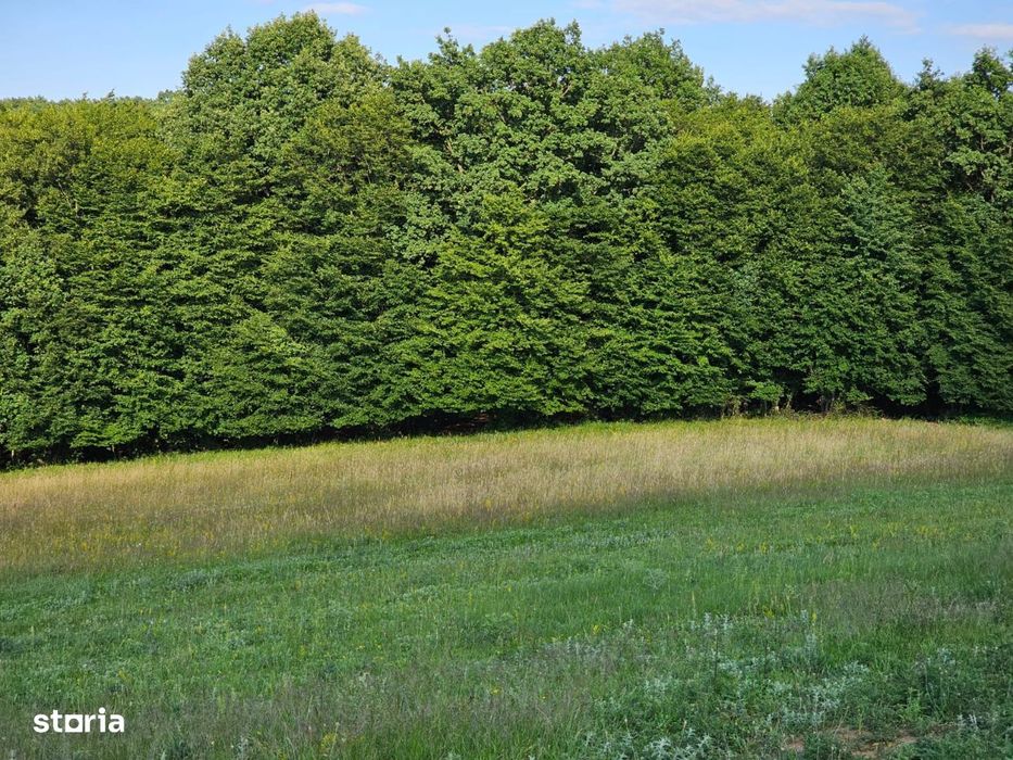 Teren extravilan, panoramă deosebită intre Corunca și Bozeni,16.900 mp