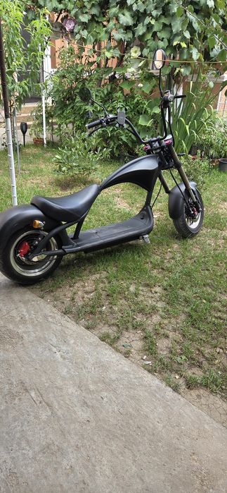 Scuter Electric Chopper Mangosteam