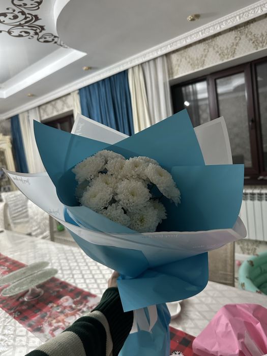 Продаю цветы дешево