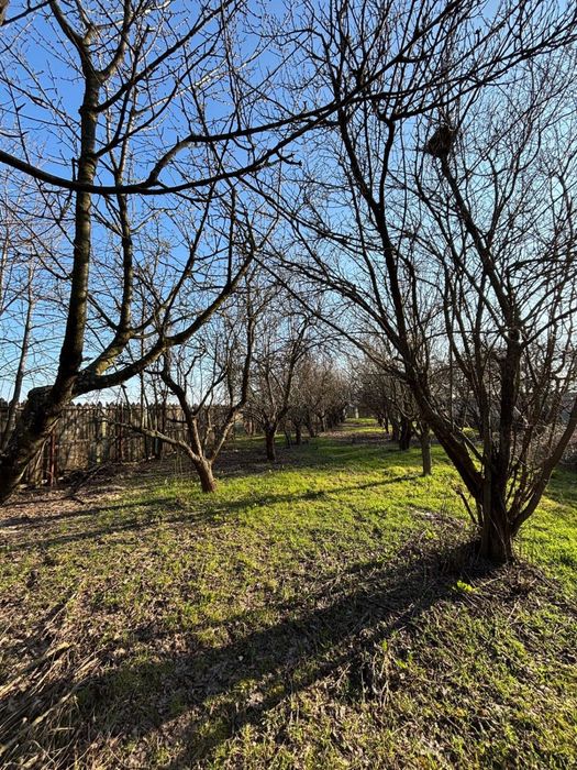 Vand casa sat Jiul comuna Tuglui