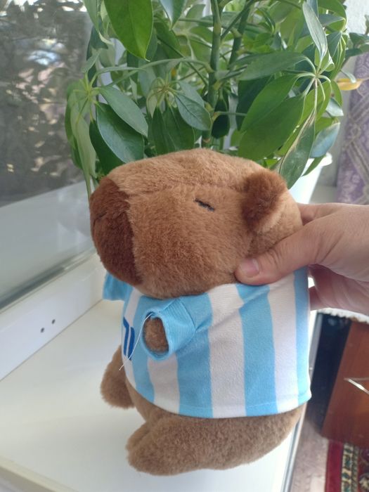 Мягкая игрушка, капибара