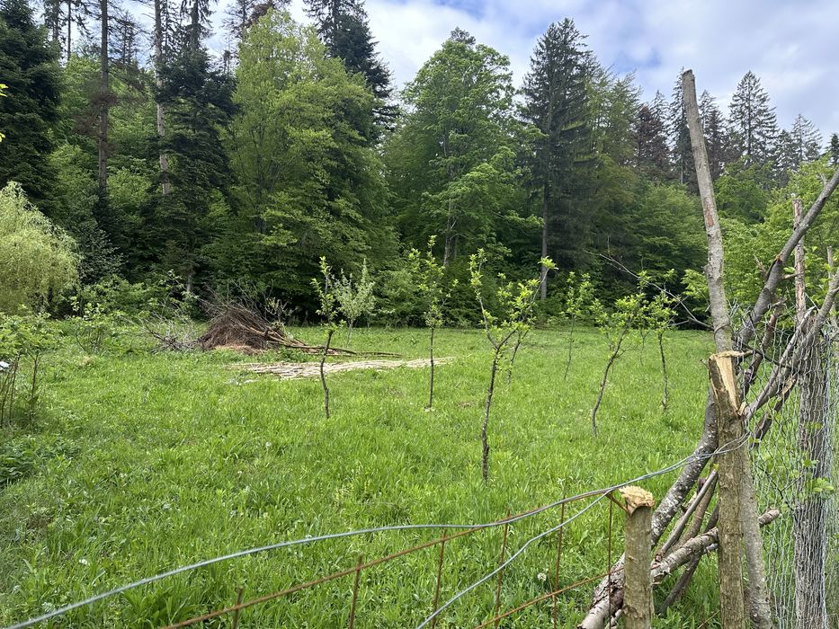 Vand teren extravilan zona usor accesibila zona Colonia Mina 1 Mai