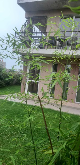 Vand/Inchiriez Pensiune Techirghiol  Posibilitate Plată în RATE*