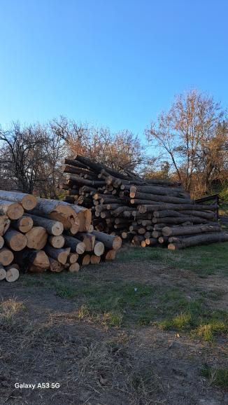 Lemne de foc fag capete uscate sau verzi 600lei tona sau la metru ster