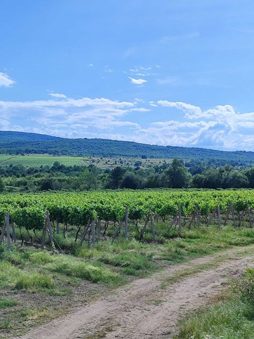 Продава се Земеделски имот в София, Челопечене -  кв.м за 2550 €/дка - Снимка #18