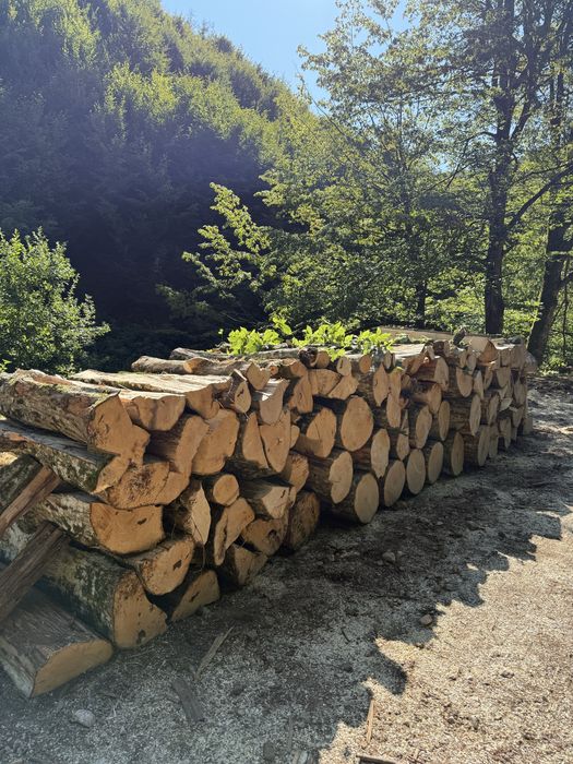 ‼️Lemne de foc esențe tari ‼️