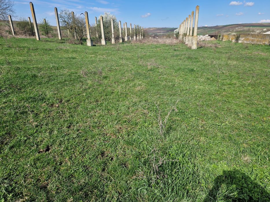 Vand ferma cu teren intravilan cu toate utilitatile  Suprafata util