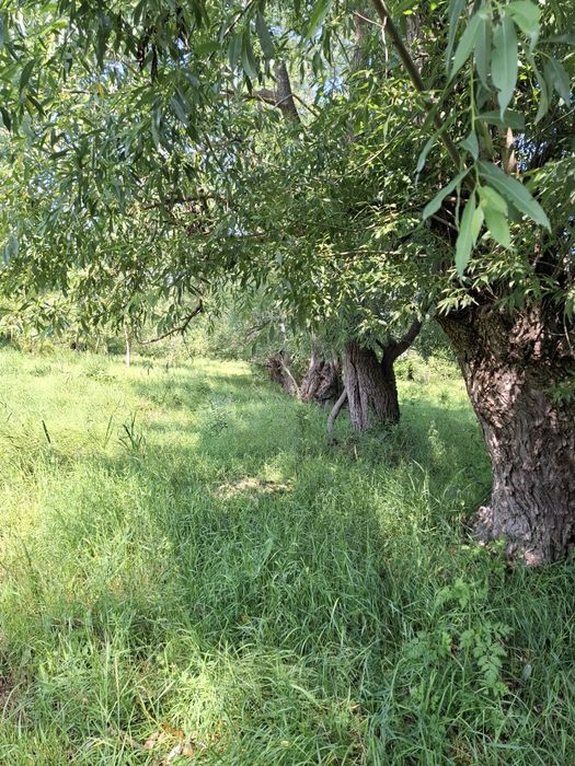 Teren intravilan cu toate utilitatile