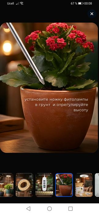 Фито лампа для растений