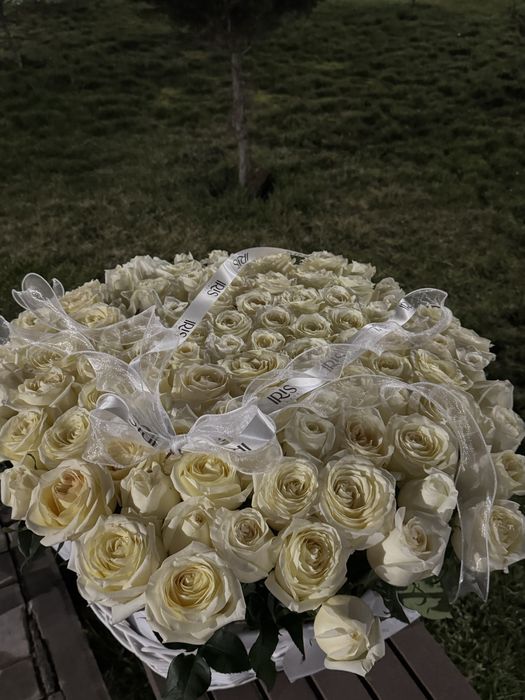 Iris тен алынган гул 04.03 куні келді