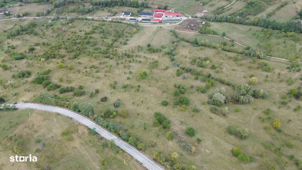 Teren 8.043 mp la DN73C Berevoesti – 3€/mp! Oportunitate rara