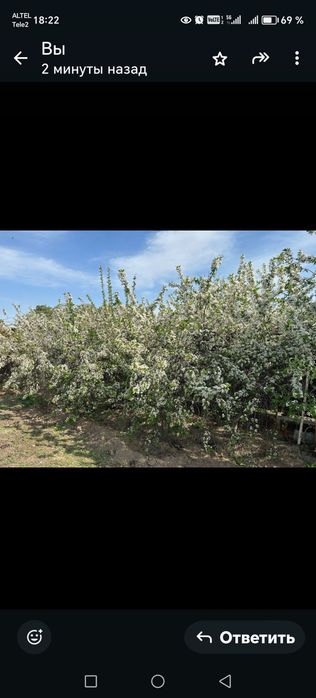 Продается большой дом