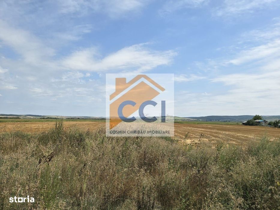 Teren intravilan– 50.000 mp, Bacău, Șoseaua Hol