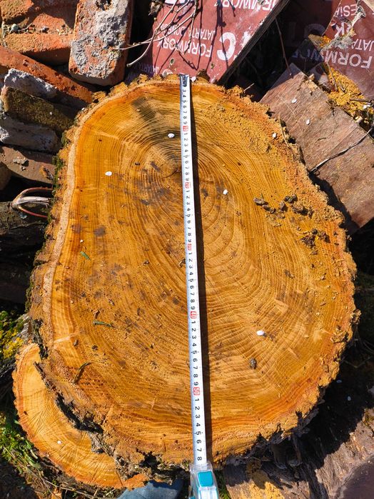 Дънери от черница