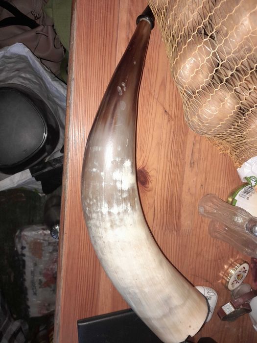 Биволски рог не знам за какво се ползва