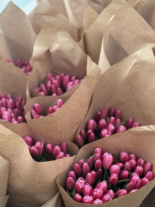 Тюльпан крупный местный