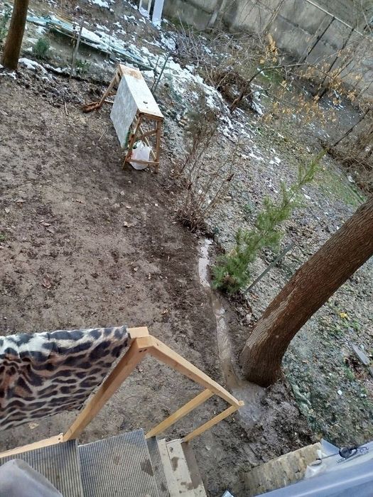 1 ком квартиру. 1/4 кирпич. Ремонт огород. Галерея.СЕРГЕЛИ 2.  33 М2