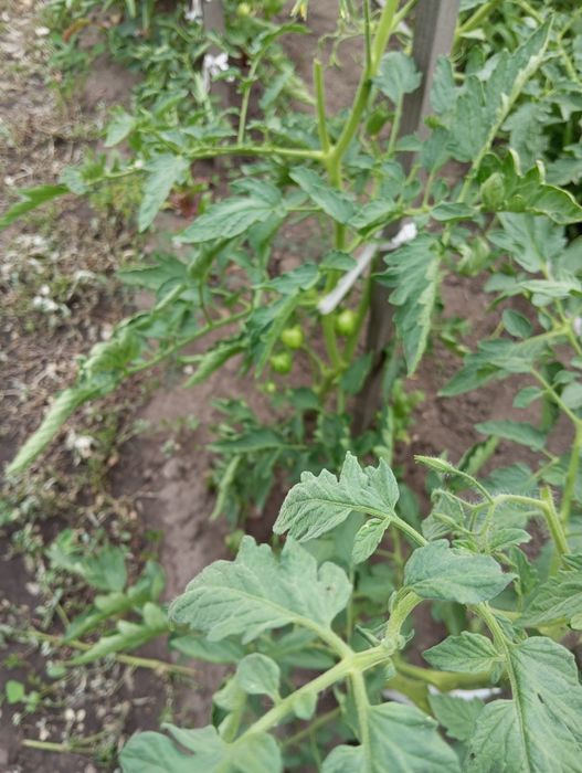 Продам кирпичный дом