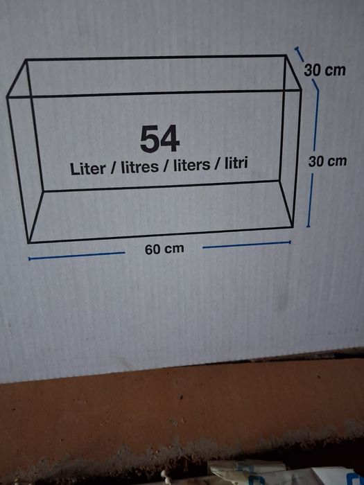 Acvariu Pesti  bine intretinut