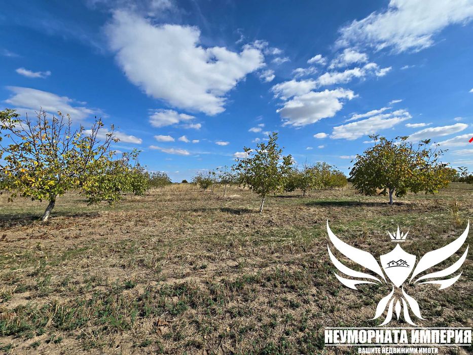 Продавам орехово градина 6650кв.м. в село Козаново