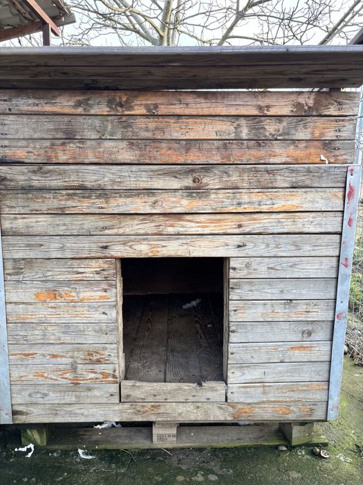 Cusca caini talie mare