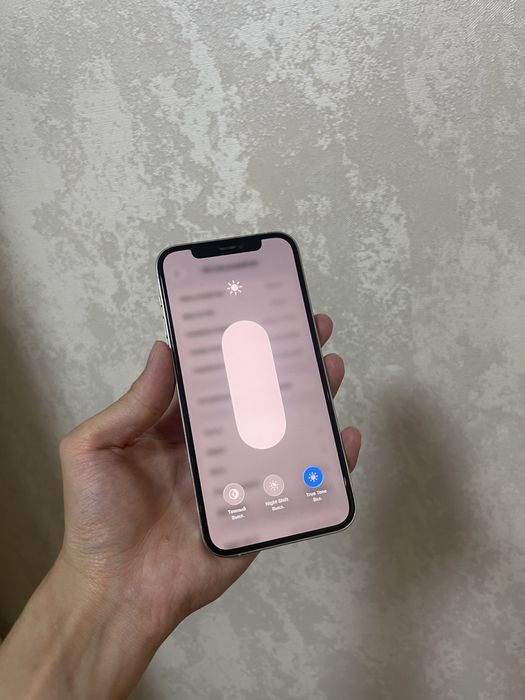 iPhone 12Pro •256GB 100%•