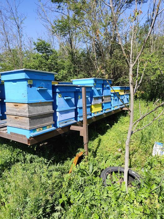 Пчеларска платформа