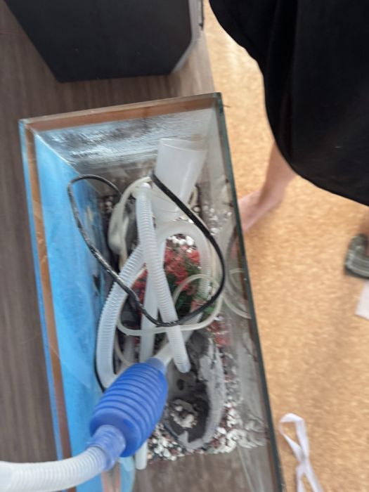 Аквариум без рыб все нудное есть