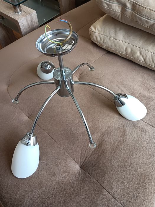 Полилей Ana 2 броя