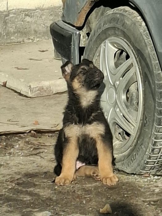 Отборные мальчик девочка.