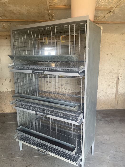 Клетки для кур несушек