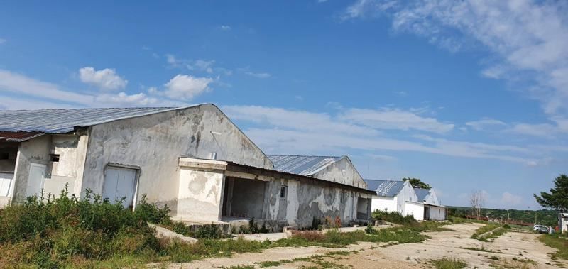 Продава се Склад в с. Обнова, Област Плевен - 45322 кв.м за 36 €/кв.м - Снимка #5