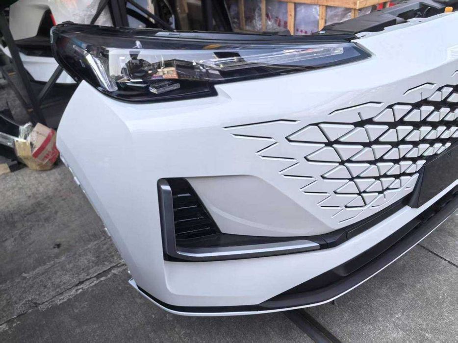 Ноус-кат (морда)